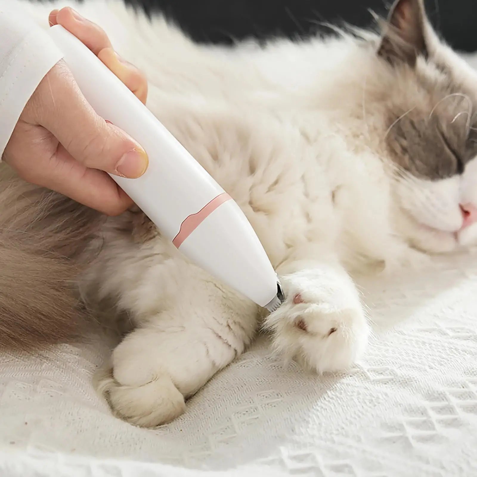 4-In-1 Electric Pet Grooming Tool Set Dog Hair Clippers USB Rechargeable Pets Haircut Trimmer Shaver Cats Dogs Supp Professional