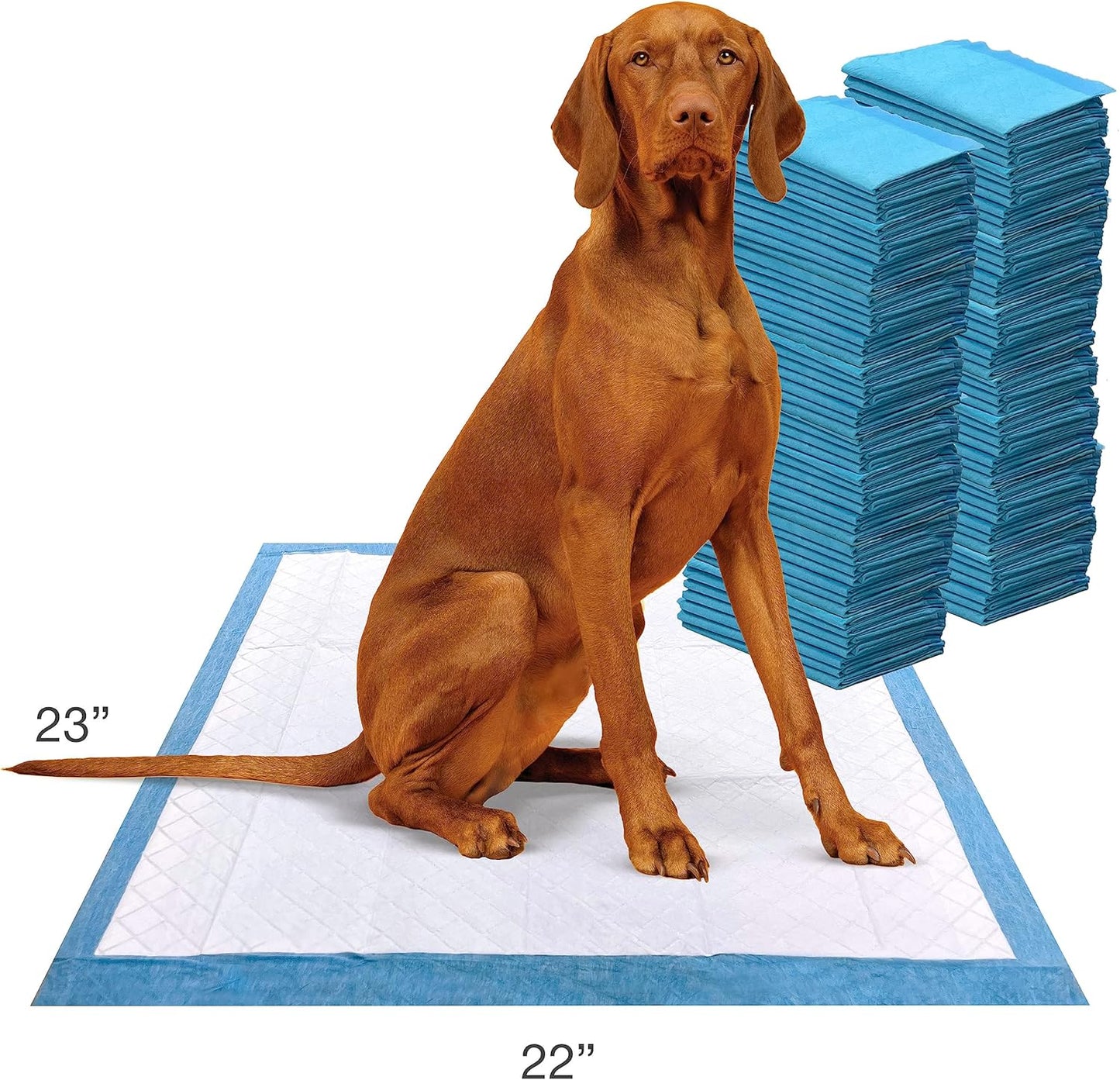 Wee-Wee Odor Control Advanced Formula Unscented Pee Pads for Dogs & Puppies, Leak-Proof Housebreaking Potty Training Floor Protection, 22" X 23", 100 Count