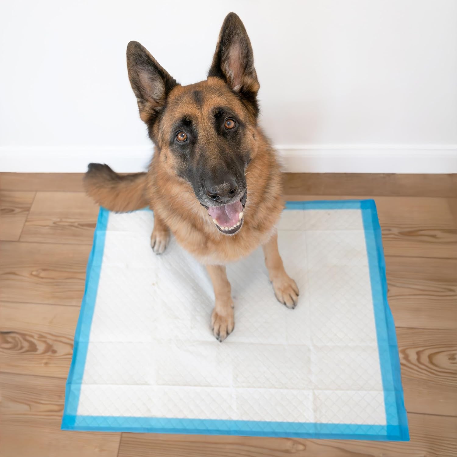 Wee-Wee Pee Pads for Dogs and Puppies Training L Gigantic, XL, Standard & Little L Absorbent Pee Pads for Training Puppies, Leak-Proof 6-Layer Technology, 24 Hour Protection Guaranteed