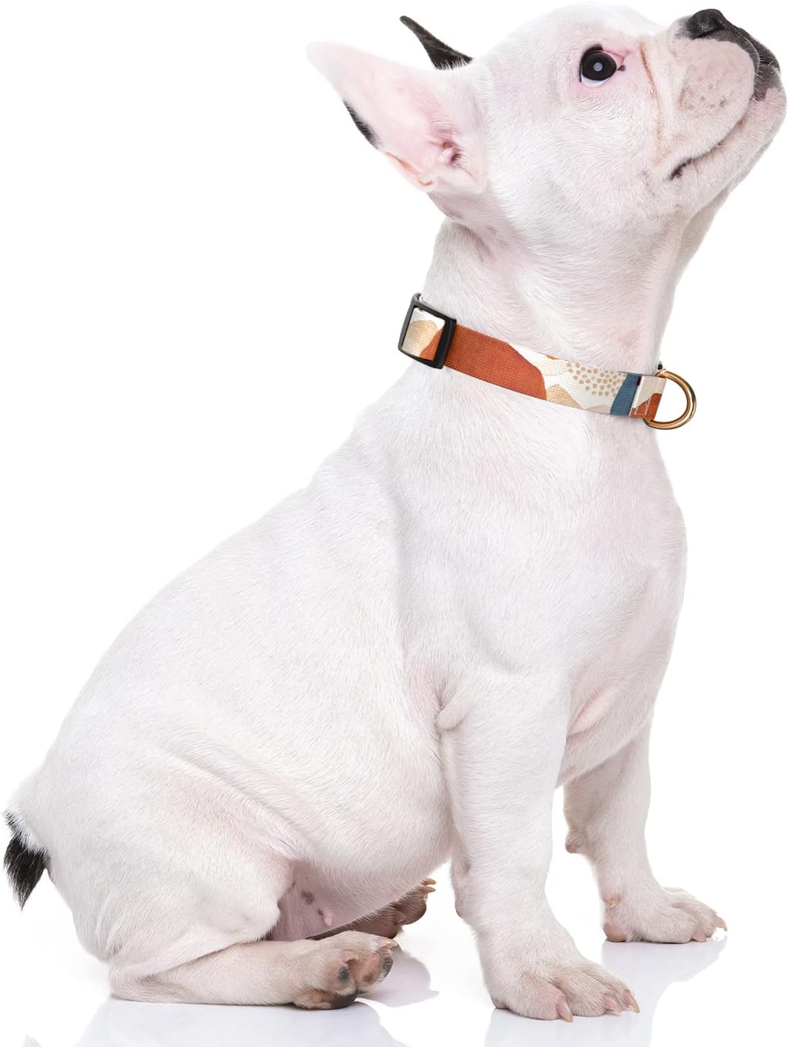 Dog Collar for Small Dogs, Cute Heavy Duty Adjustable Puppy Collar with Quick Release Buckle for Boy Girl & Female, Pet Accessories for Walking Running, XS Length 5/8" Width, Abstract Art