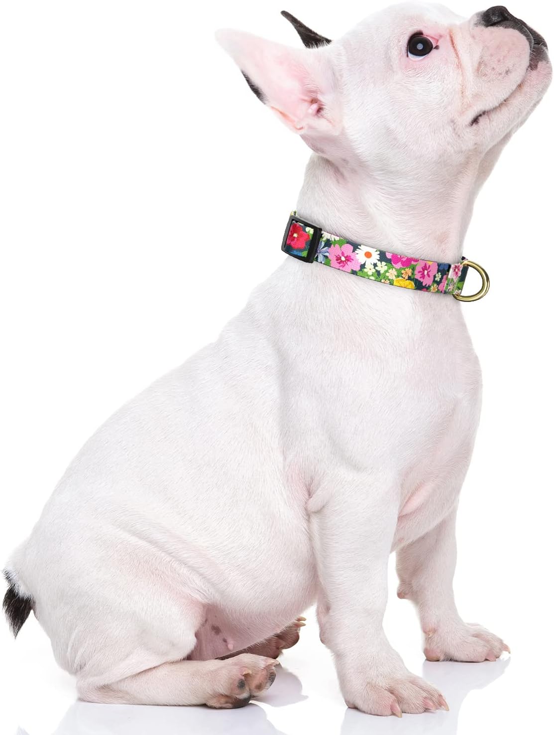 Dog Collar for Small Dogs, Cute Floral Heavy Duty Adjustable Puppy Collar with Quick Release Buckle for Boy Girl & Female, Pet Accessories for Walking Running, S Length 3/4" Width, Elegant