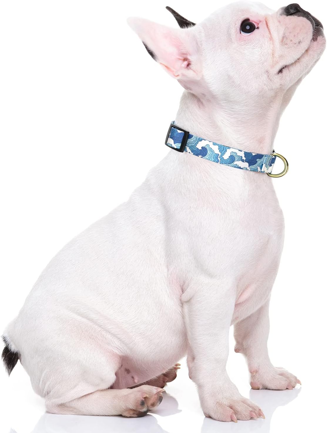 Dog Collar for Small Dogs, Cute Heavy Duty Adjustable Puppy Collar with Quick Release Buckle for Boy Girl & Female, Pet Accessories for Walking Running, S Length 3/4" Width, Japanese Style Wave