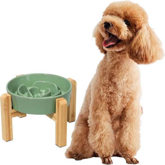 Elevated Slow Feeder Dog Bowl - Raised Ceramic Dog Bowl with Anti-Slip Stand - Fun Maze Dog Feeding Bowl for Fast Eater - Heavy Dog Food Dish - Designed for Small and Medium Dogs - Green - 6.7 Inch