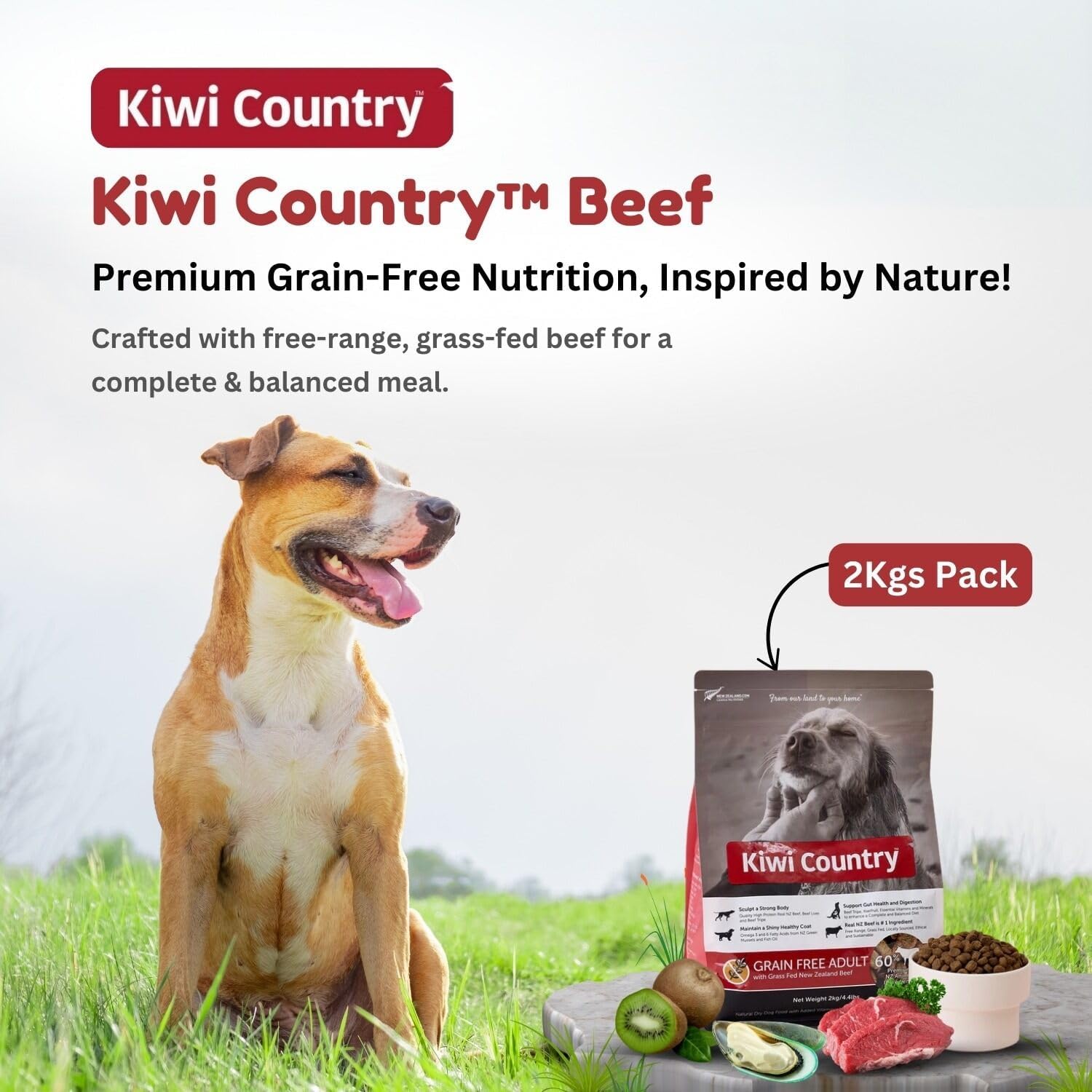 Grain-Free Beef Dry Dog Food, 2Kg, Grass-Fed Beef, Nutrient-Dense Formula, High-Protein, Natural Dog Food Made in New Zealand – for All Breeds & Sensitive Stomachs - 2Kg