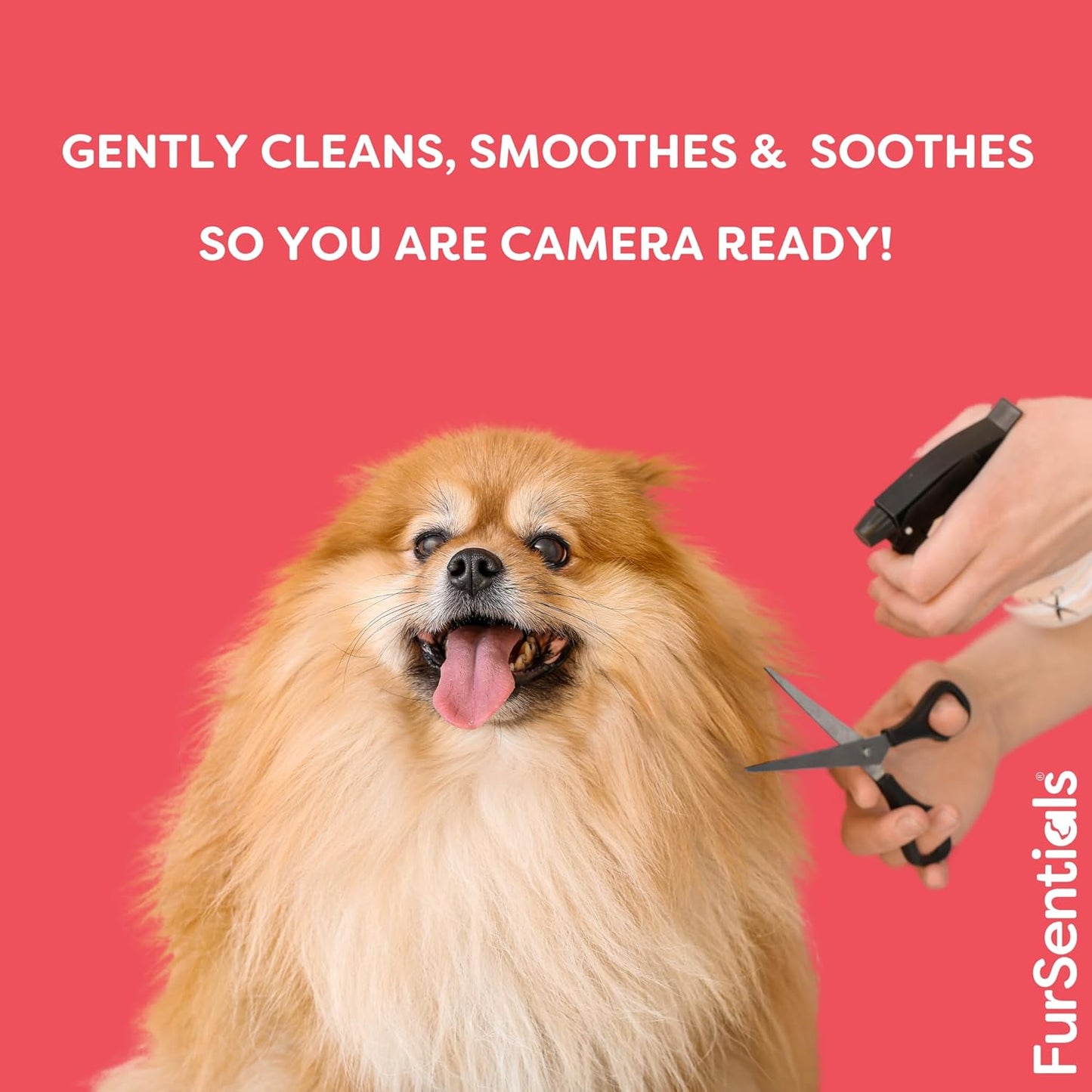 Tear Stain Remover for Dogs |  125 Ml of Gentle, Freshly Scented All Natural Cleaner