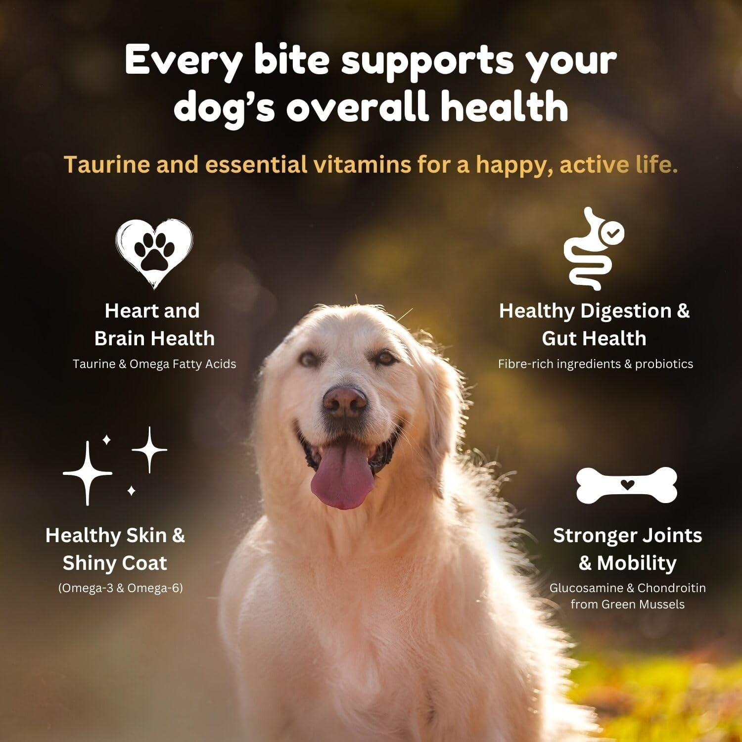 Grain-Free Beef Dry Dog Food, 2Kg, Grass-Fed Beef, Nutrient-Dense Formula, High-Protein, Natural Dog Food Made in New Zealand – for All Breeds & Sensitive Stomachs - 2Kg