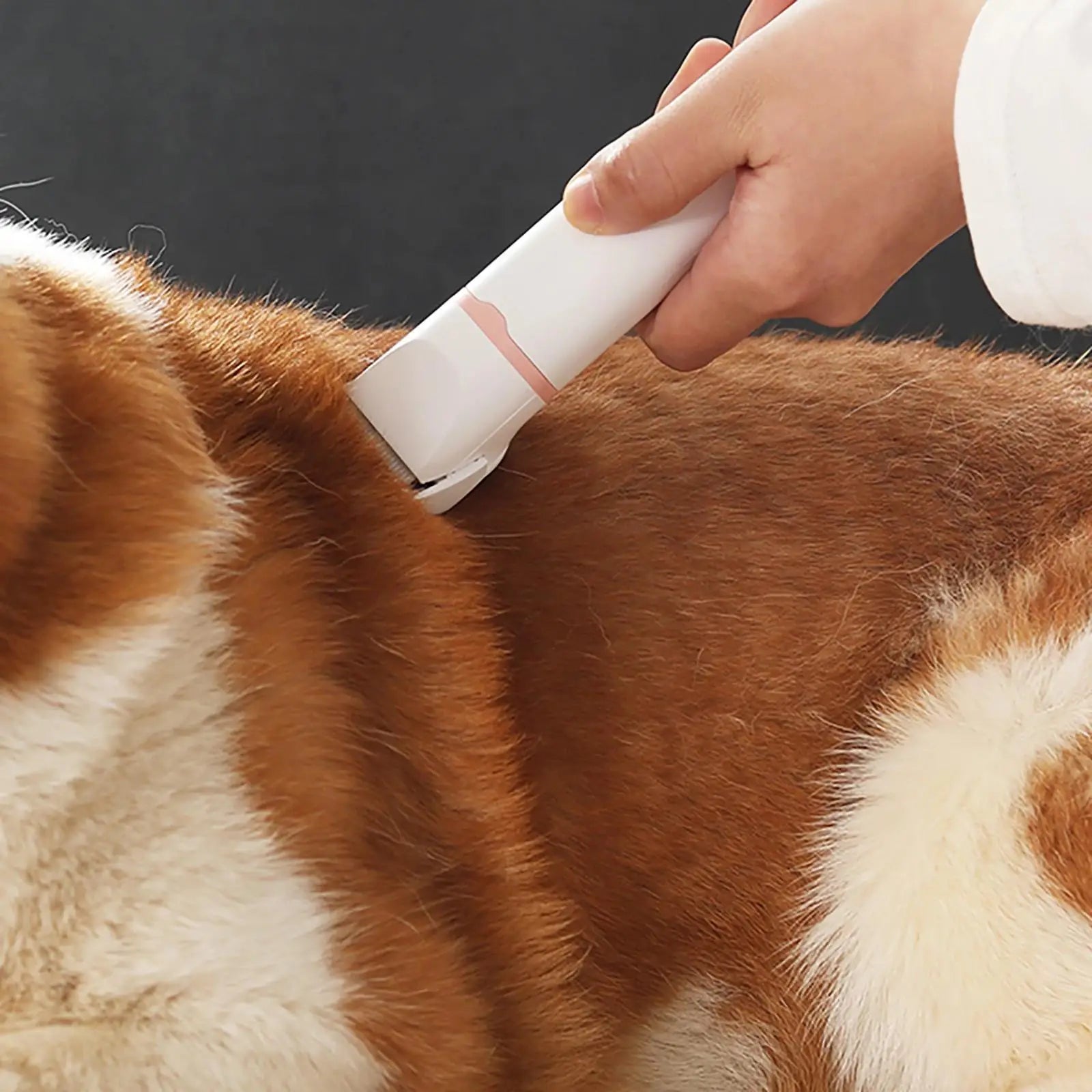4-In-1 Electric Pet Grooming Tool Set Dog Hair Clippers USB Rechargeable Pets Haircut Trimmer Shaver Cats Dogs Supp Professional