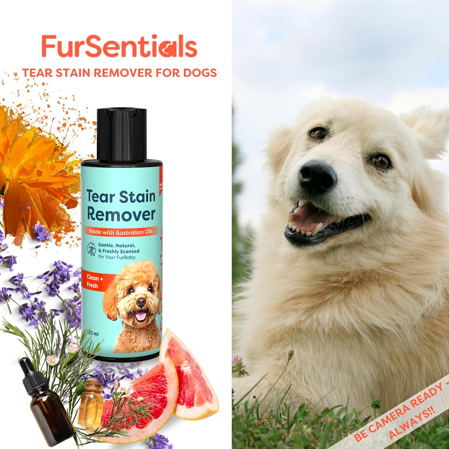 Tear Stain Remover for Dogs |  125 Ml of Gentle, Freshly Scented All Natural Cleaner