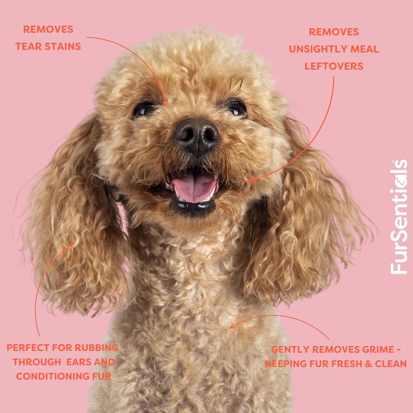 Tear Stain Remover for Dogs |  125 Ml of Gentle, Freshly Scented All Natural Cleaner