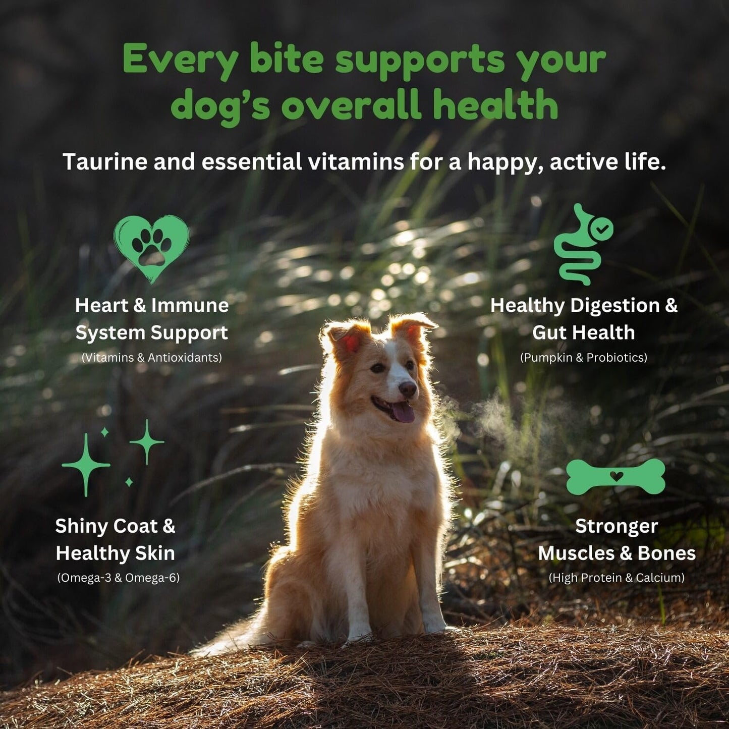 Premium Grain-Free Lamb Dry Dog Food - 2Kg of Nutrient-Dense, High-Protein Formula for All Breeds & Sensitive Stomachs, Made with Grass-Fed Lamb in New Zealand