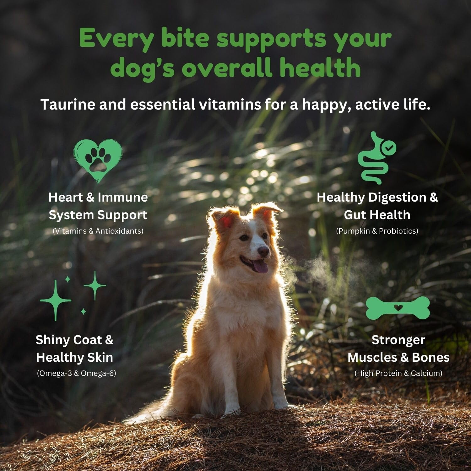 Premium Grain-Free Lamb Dry Dog Food - 2Kg of Nutrient-Dense, High-Protein Formula for All Breeds & Sensitive Stomachs, Made with Grass-Fed Lamb in New Zealand