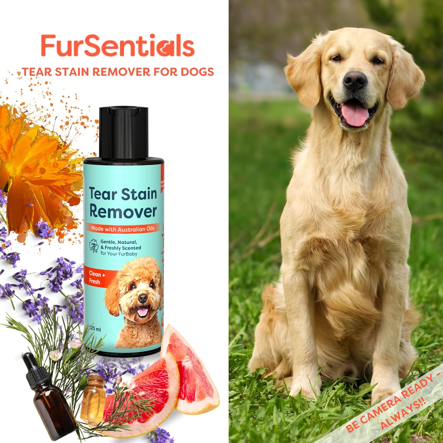 Tear Stain Remover for Dogs |  125 Ml of Gentle, Freshly Scented All Natural Cleaner
