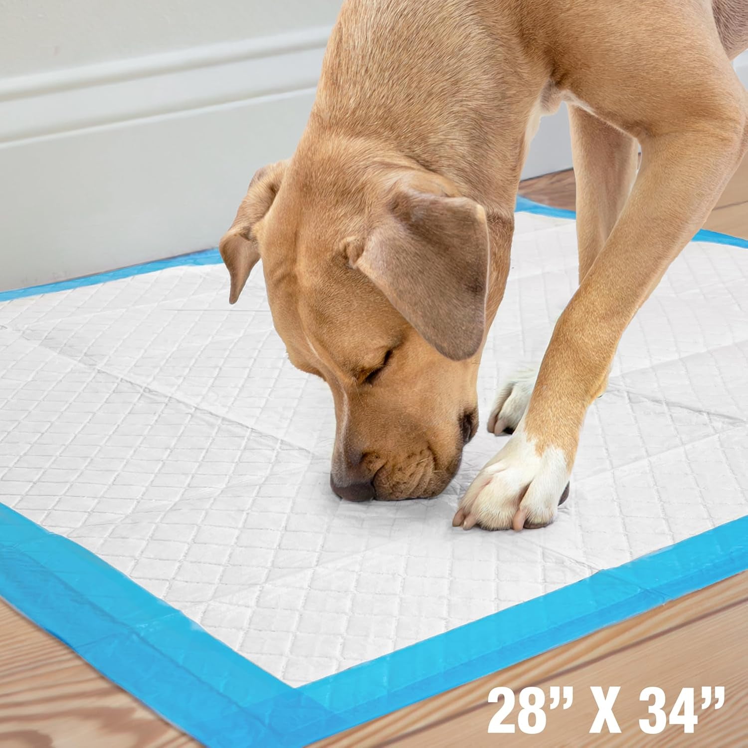 Wee-Wee Pee Pads for Dogs and Puppies Training L Gigantic, XL, Standard & Little L Absorbent Pee Pads for Training Puppies, Leak-Proof 6-Layer Technology, 24 Hour Protection Guaranteed