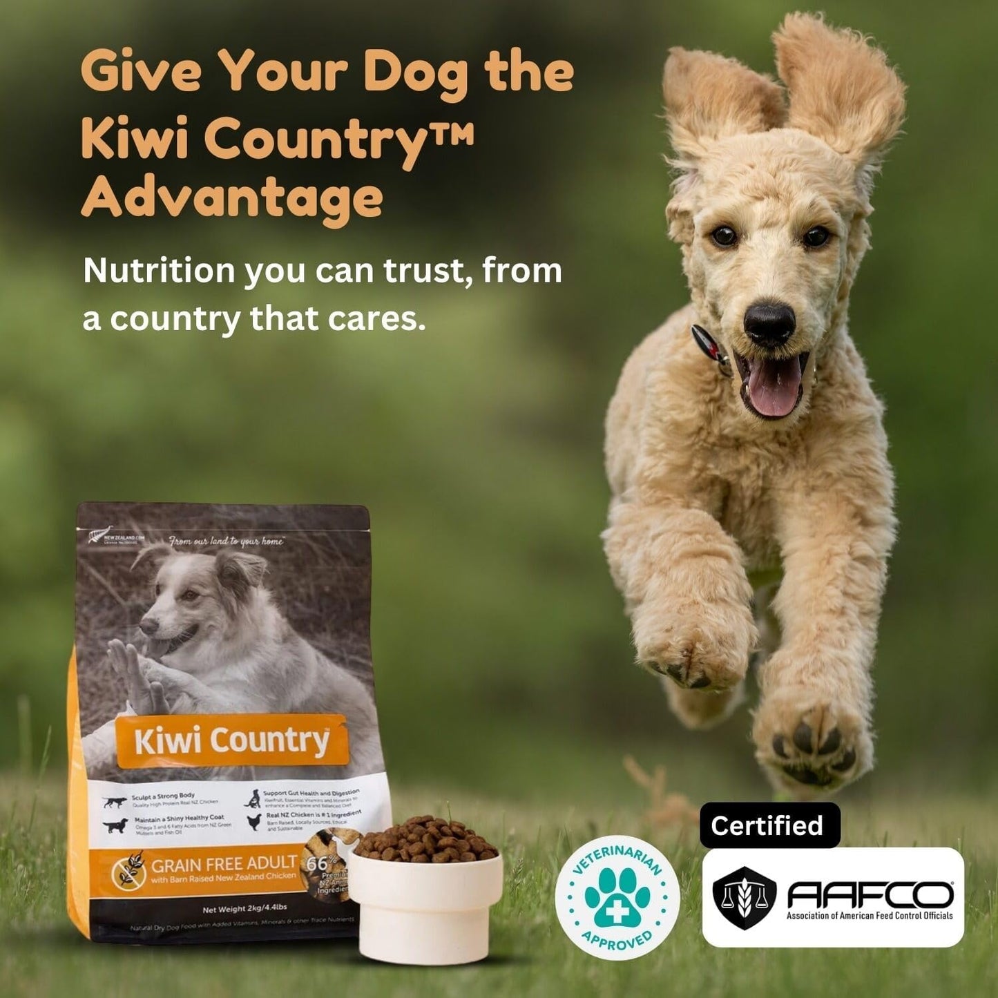 Grain-Free Chicken Dry Dog Food, 2Kg, Cage-Free Chicken, Nutrient-Dense Formula, High-Protein, Natural Dog Food Made in New Zealand – for All Breeds & Sensitive Stomachs
