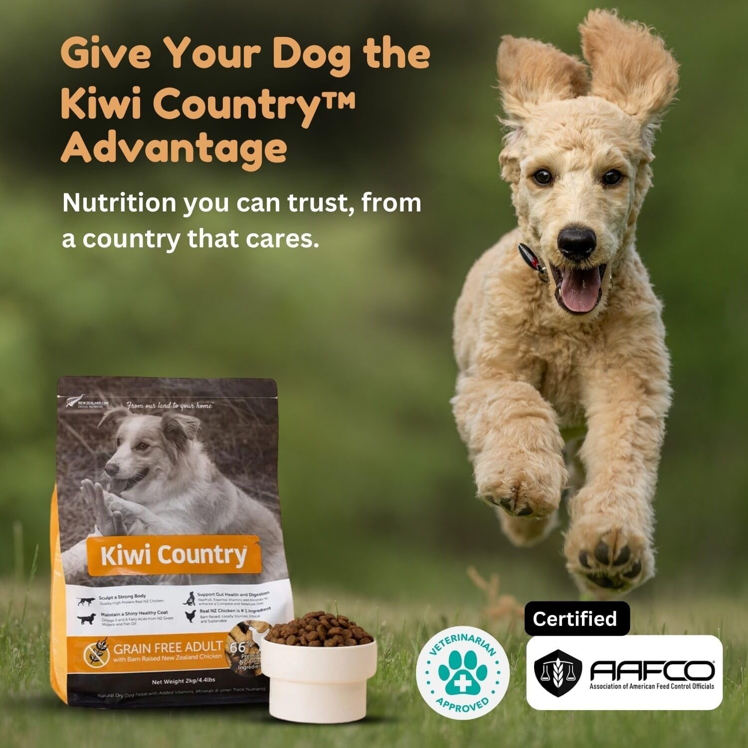Grain-Free Chicken Dry Dog Food, 2Kg, Cage-Free Chicken, Nutrient-Dense Formula, High-Protein, Natural Dog Food Made in New Zealand – for All Breeds & Sensitive Stomachs