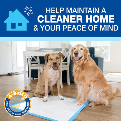 Wee-Wee Pee Pads for Dogs and Puppies Training L Gigantic, XL, Standard & Little L Absorbent Pee Pads for Training Puppies, Leak-Proof 6-Layer Technology, 24 Hour Protection Guaranteed