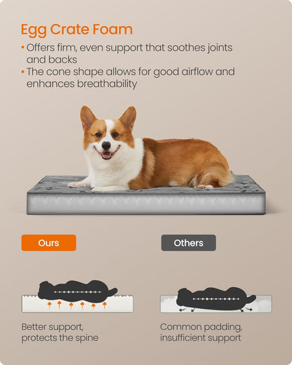 Double-Sided Dog Bed, Leakproof Dog Sofa Bed for Medium Dogs, Egg Crate Foam Pet Bed with Removable Washable Cover, Side Handle, L, 91 X 68 X 8 Cm, Dove Grey PGW242G01