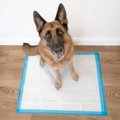 Wee-Wee Pee Pads for Dogs and Puppies Training L Gigantic, XL, Standard & Little L Absorbent Pee Pads for Training Puppies, Leak-Proof 6-Layer Technology, 24 Hour Protection Guaranteed