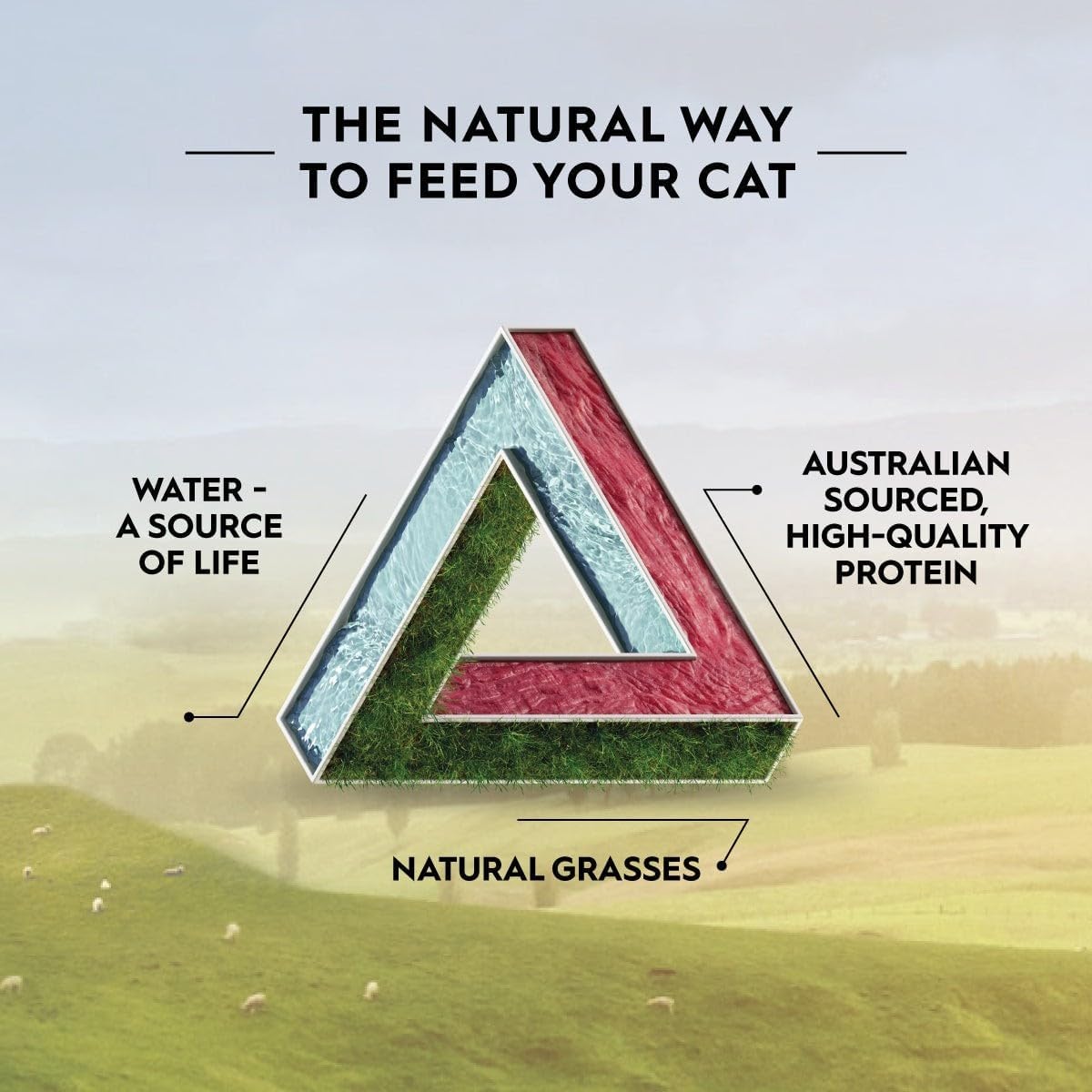 Adult Dry Cat Food, Beef & Freeze Dried Lamb 1.8Kg, High Protein Grain Free Kibble, Supports Digestion & Reduces Litter Odour