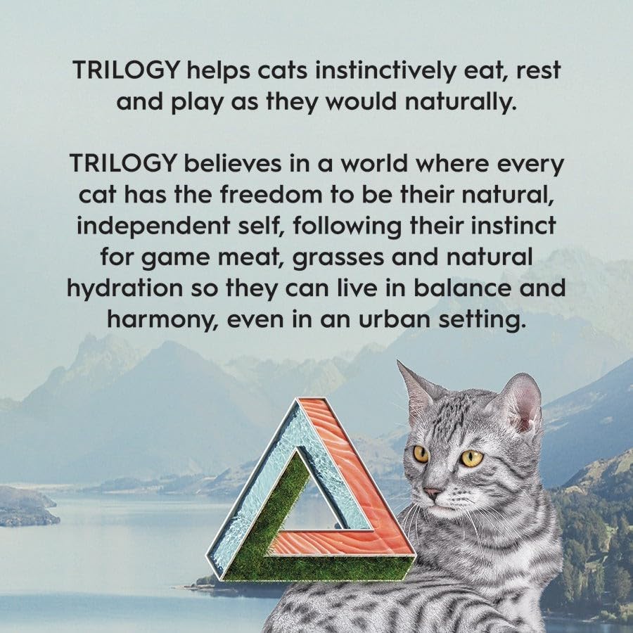 Adult Dry Cat Food, Salmon & Freeze Dried Lamb 1.8Kg, High Protein Grain Free Kibble, Supports Digestion & Reduces Litter Odour