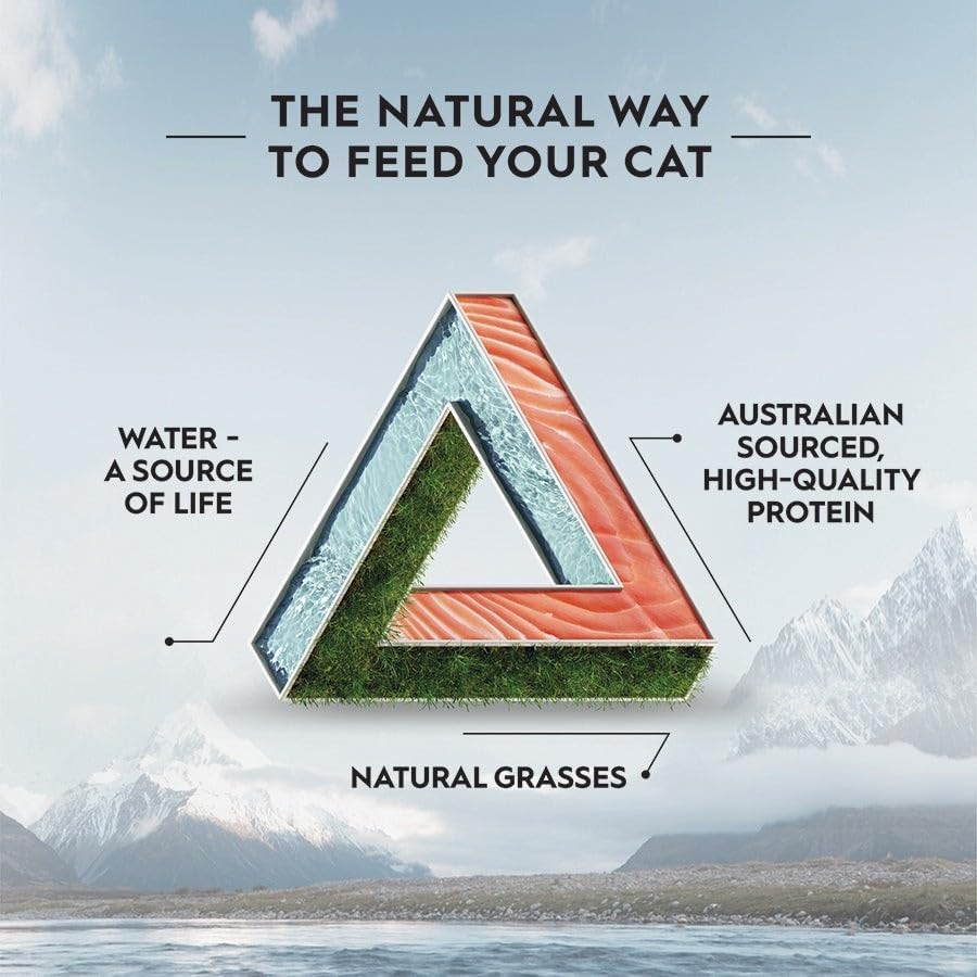 Adult Dry Cat Food, Salmon & Freeze Dried Lamb 1.8Kg, High Protein Grain Free Kibble, Supports Digestion & Reduces Litter Odour