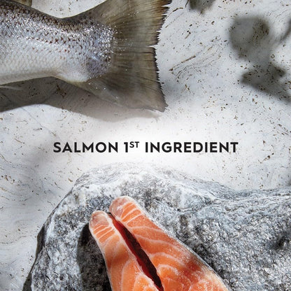 Adult Dry Cat Food, Salmon & Freeze Dried Lamb 1.8Kg, High Protein Grain Free Kibble, Supports Digestion & Reduces Litter Odour