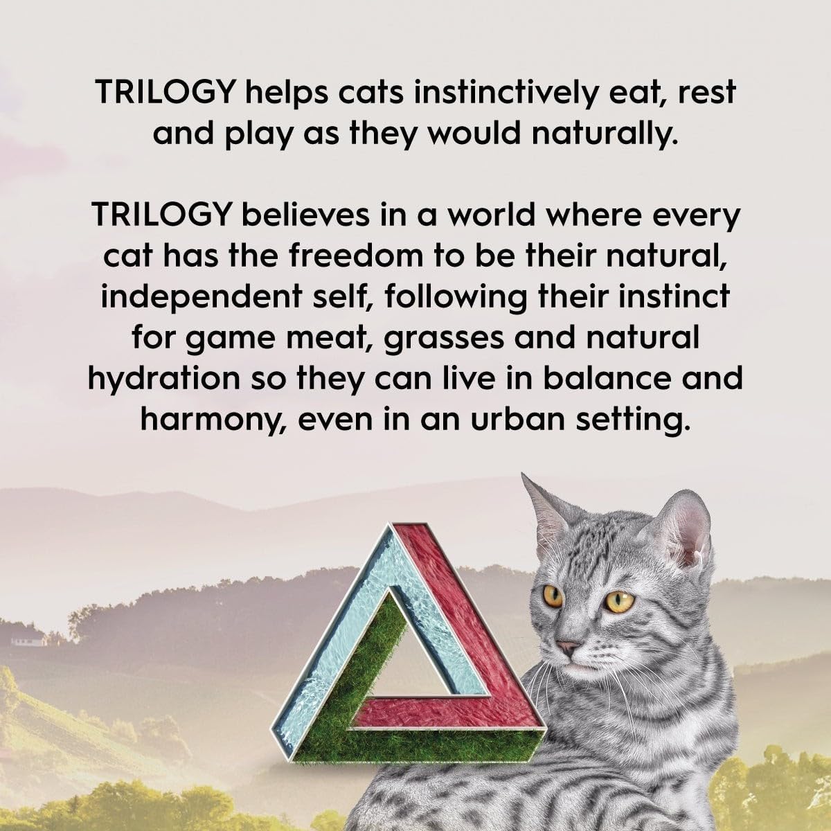 Adult Dry Cat Food, Beef & Freeze Dried Lamb 1.8Kg, High Protein Grain Free Kibble, Supports Digestion & Reduces Litter Odour