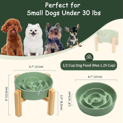 Elevated Slow Feeder Dog Bowl - Raised Ceramic Dog Bowl with Anti-Slip Stand - Fun Maze Dog Feeding Bowl for Fast Eater - Heavy Dog Food Dish - Designed for Small and Medium Dogs - Green - 6.7 Inch
