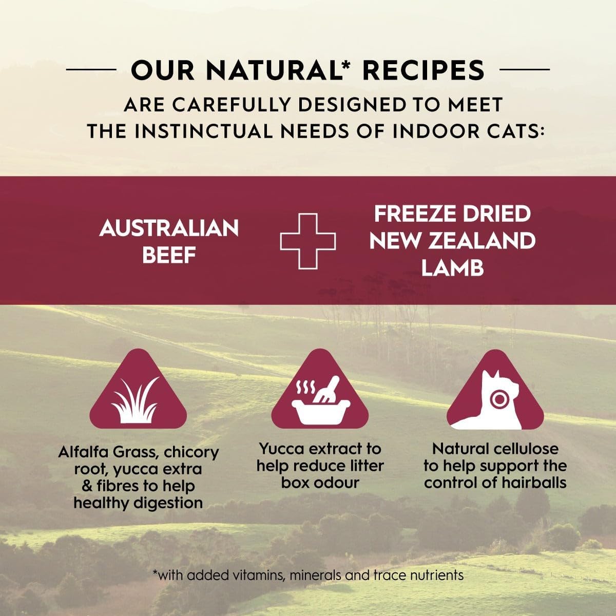 Adult Dry Cat Food, Beef & Freeze Dried Lamb 1.8Kg, High Protein Grain Free Kibble, Supports Digestion & Reduces Litter Odour