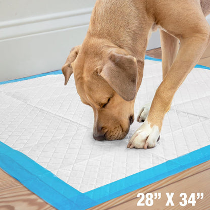 Wee-Wee Pee Pads for Dogs and Puppies Training L Gigantic, XL, Standard & Little L Absorbent Pee Pads for Training Puppies, Leak-Proof 6-Layer Technology, 24 Hour Protection Guaranteed