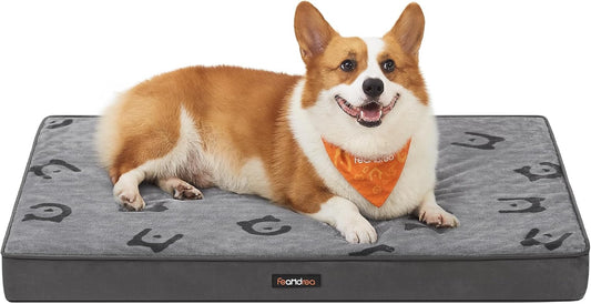 Double-Sided Dog Bed, Leakproof Dog Sofa Bed for Medium Dogs, Egg Crate Foam Pet Bed with Removable Washable Cover, Side Handle, L, 91 X 68 X 8 Cm, Dove Grey PGW242G01